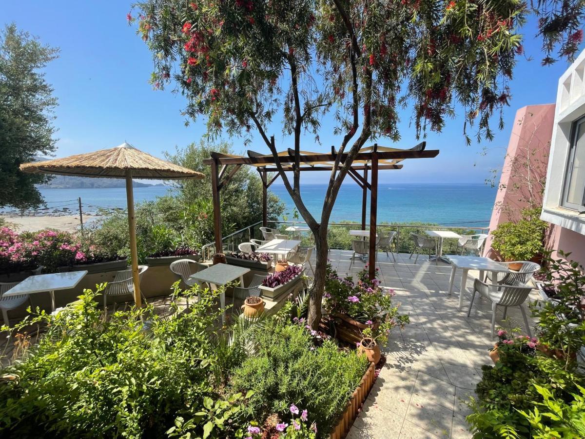 Horizon Beach Hotel بلاكاس المظهر الخارجي الصورة